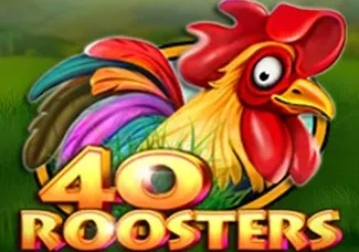 40 Roosters